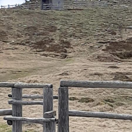 Fruhstuckspension Bischof I D Wiesen Sankt Peter am Kammersberg Exterior foto